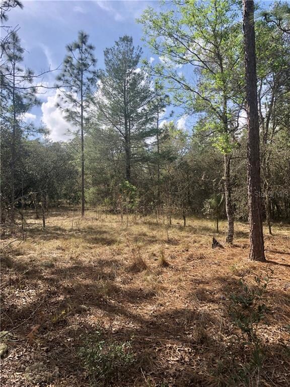 0 Locust Pass Run unit OM617705, Ocala, FL 34472 - photo 3