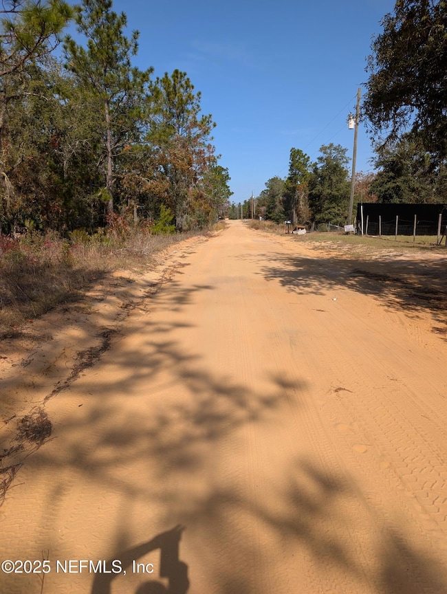 0570-0020 Violet Ave, Interlachen, FL 32148 - photo 6