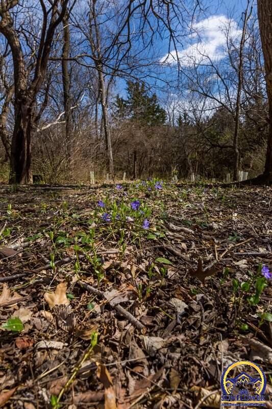 5444 SW Urish Rd, Topeka, KS 66610 - photo 4