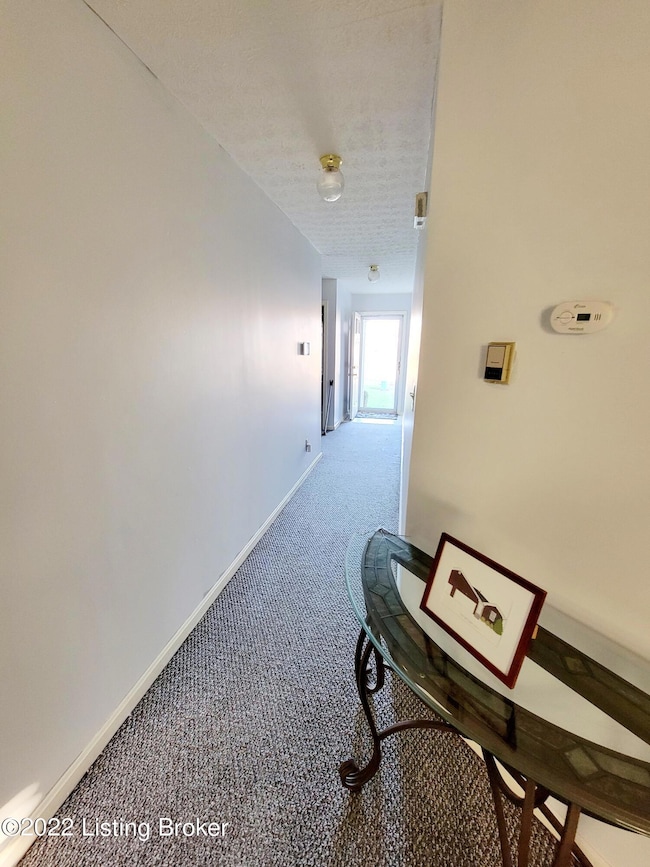 7100 Shutesbury Cir - Entryway