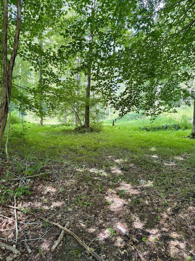 0 Chapel Hollow, Argillite, KY 41144 - photo 7