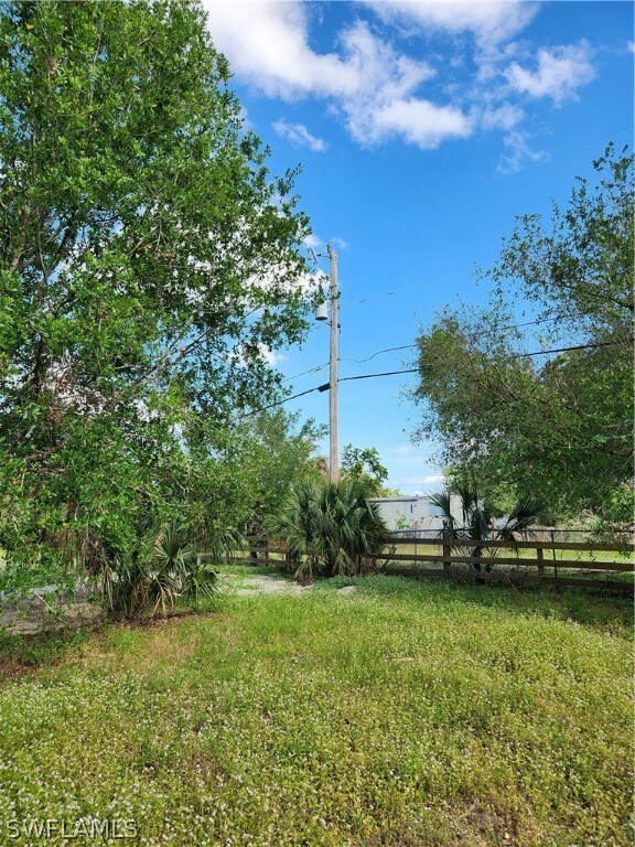 Electric at fence line.