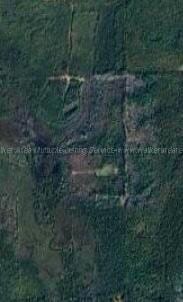 2600 Coprich Rd, Fayette, AL 35555 - photo 2