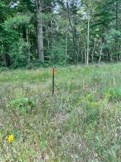 Front corner stake