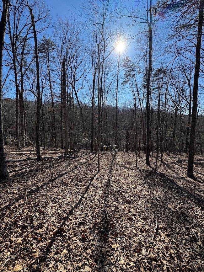 Lot 10 Independence Ln, New Market, VA 22844 - photo 2