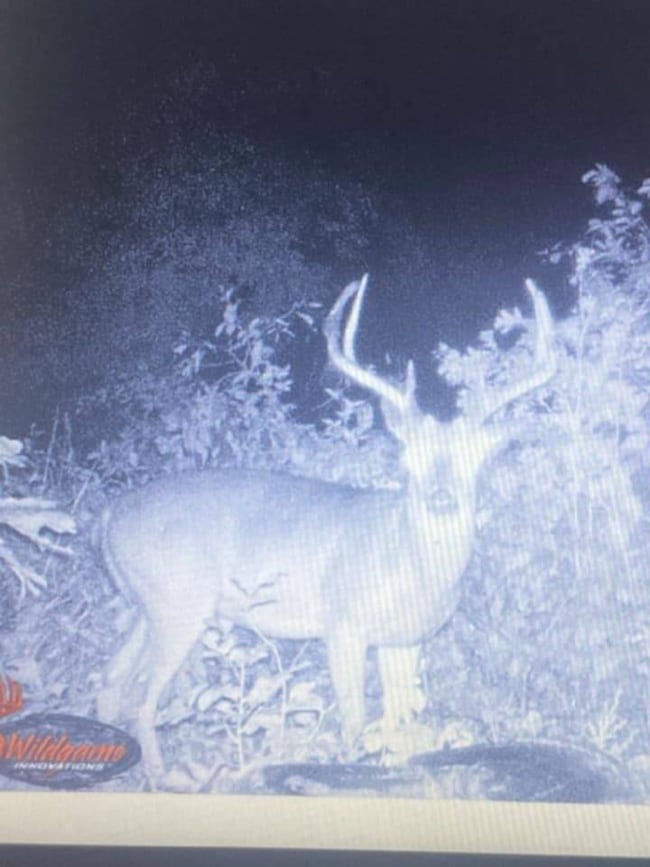 TBD Corner of Ring Rd and Upper Janes Creek, Ravenden Springs, AR 72460 - photo 2