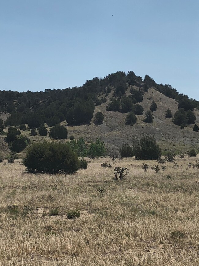 emeral vista 3