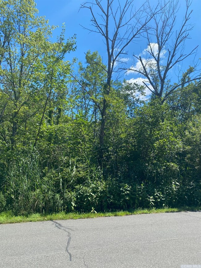 986 Sleepy Hollow Rd, Athens, NY 12015 - photo 4