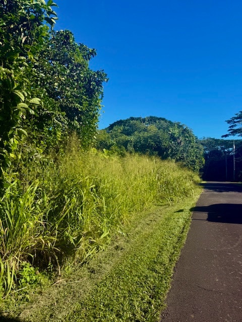 1503 Oio St, Hawaiian Beaches, HI 96778 - photo 7