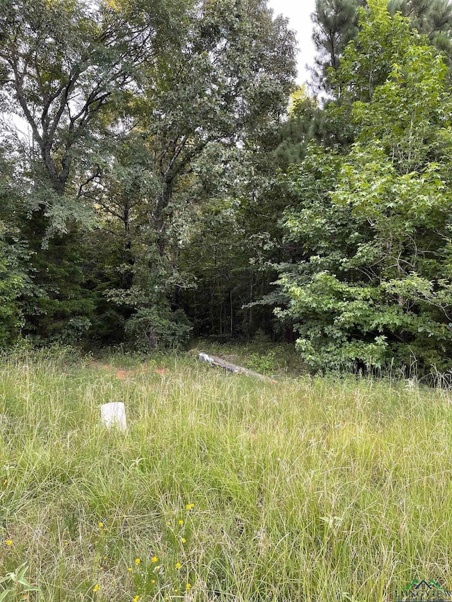 View of wooded area
