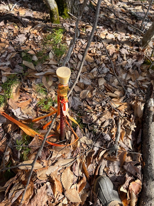 Stoneham - 1 (3)