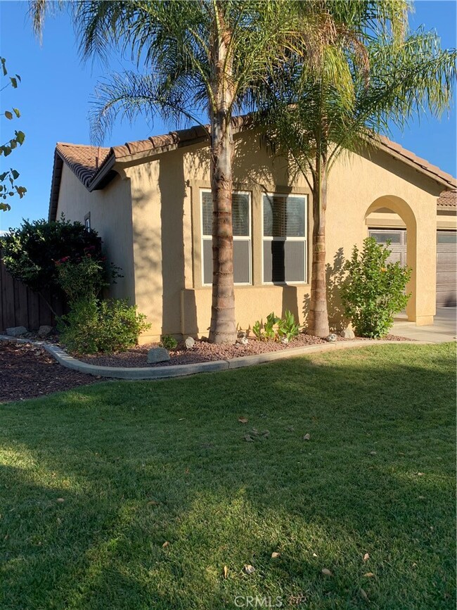 View from the north side