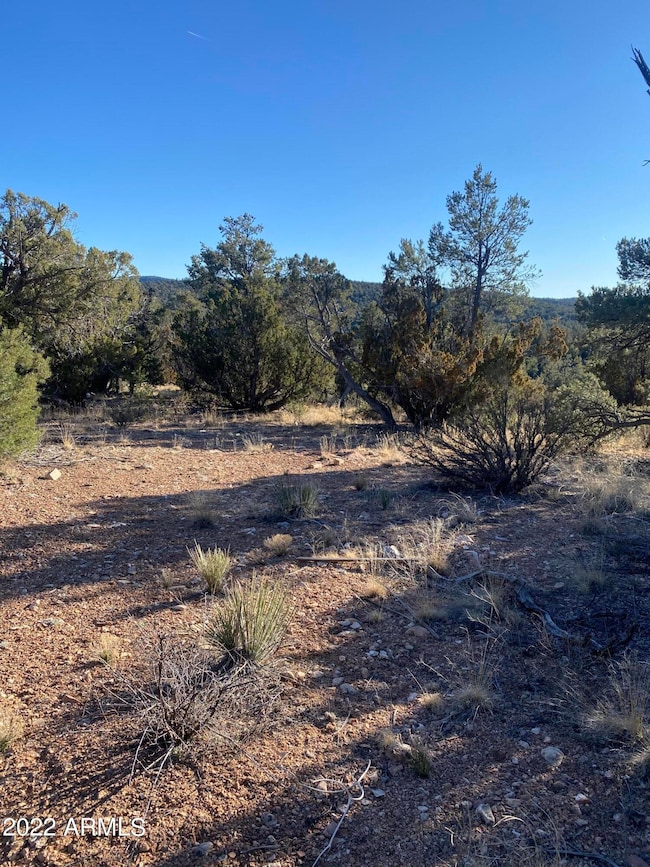 51874 N Cordero Rd unit 3382, Seligman, AZ 86337 - photo 4