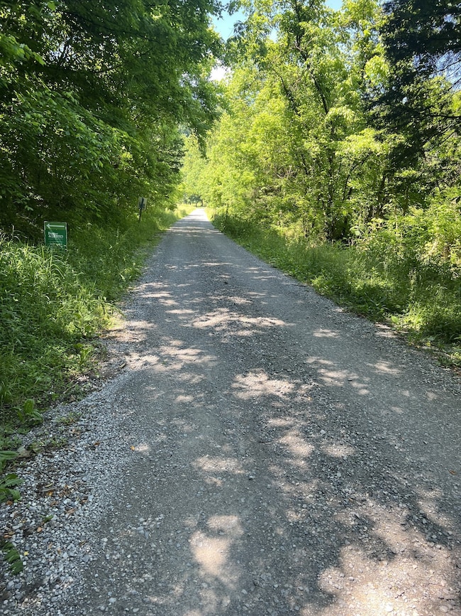 0 Peytons Creek Rd unit RTC3050956, Dixon Springs, TN 37057 - photo 4