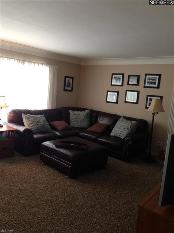 215 Harmon Rd, Aurora, OH 44202 - photo 4