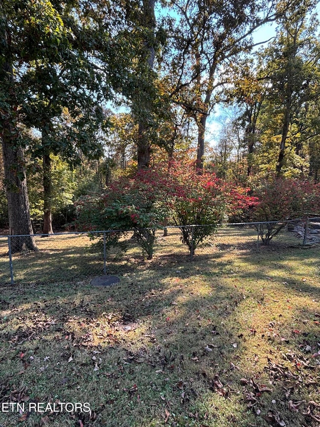 1728 Lavendale Cir, Knoxville, TN 37920 - photo 4