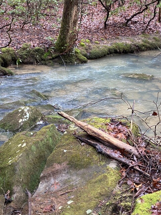 Lot 13 Thomas Springs Rd, Crossville, TN 38572 - photo 5