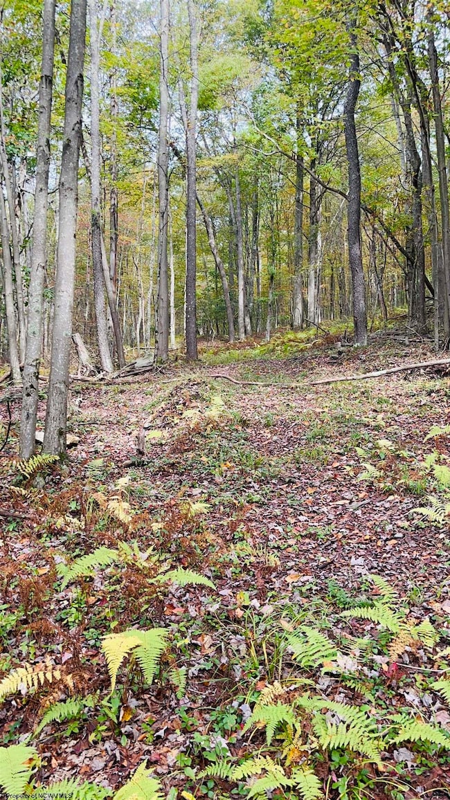 33213 Veterans Memorial Hwy, Terra Alta, WV 26764 - photo 2