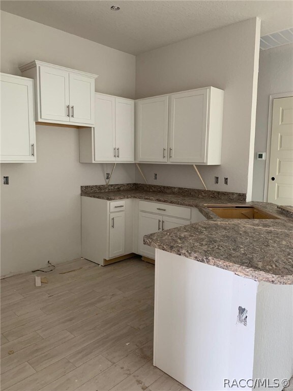 3259 N Burroughs Path, Beverly Hills, FL 34465 - photo 2