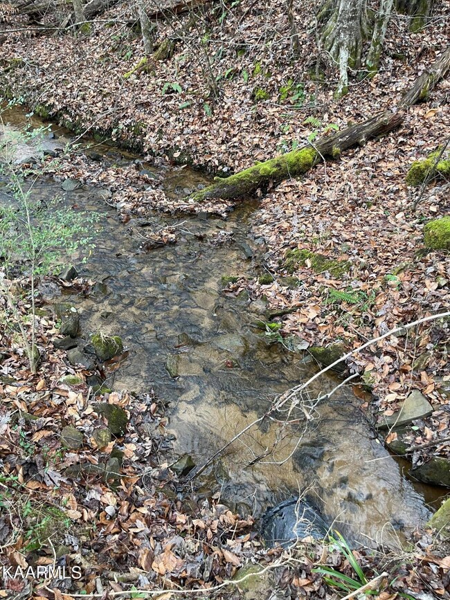 Creek