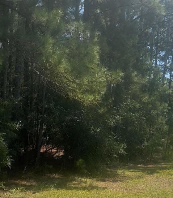 NHN Mint Julep Airpark, Perkinston, MS 39573 - photo 2