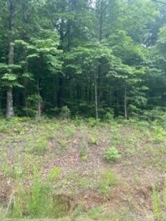 0 Teludachee Trail unit RTC2720903, South Pittsburg, TN 37380 - photo 6