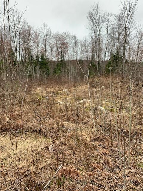 32-B-1 Turnpike Rd, Jefferson, NH 03583 - photo 5