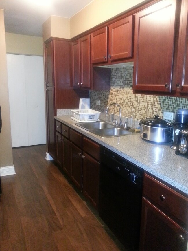 4602 Provincetown Dr unit 4, Country Club Hills, IL 60478 - photo 2