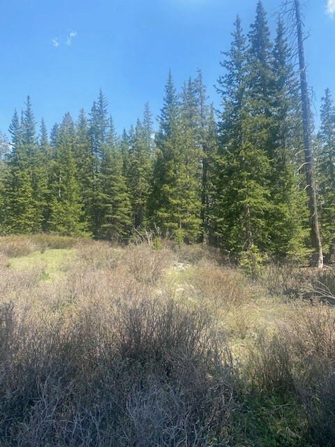 0 Tbd unit S1027519, Fairplay, CO 80440 - photo 4