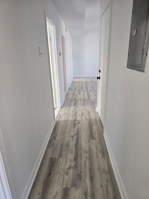 41 Michigan Ave unit 2, Dorchester, MA 02121 - photo 5