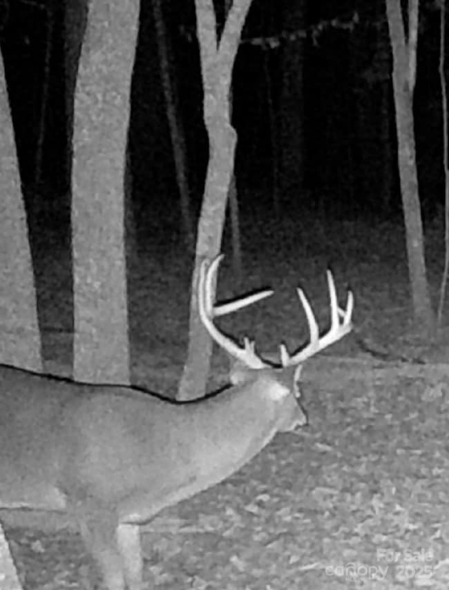 TBD Southfork Rd, Lincolnton, NC 28092 - photo 7