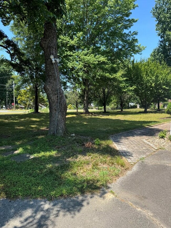 Driveway