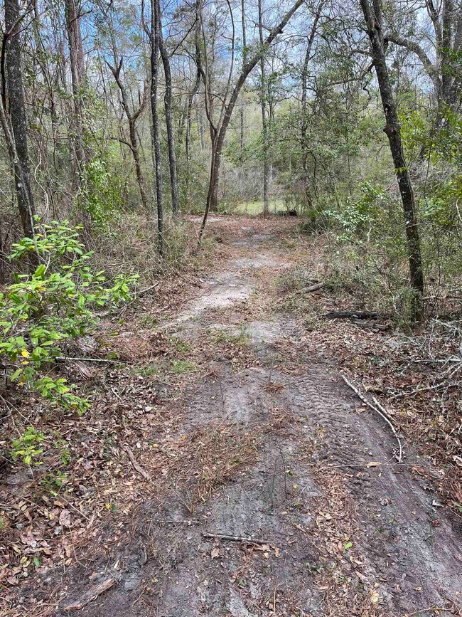 23 Emily Ln, Crawfordville, FL 32327 - photo 5
