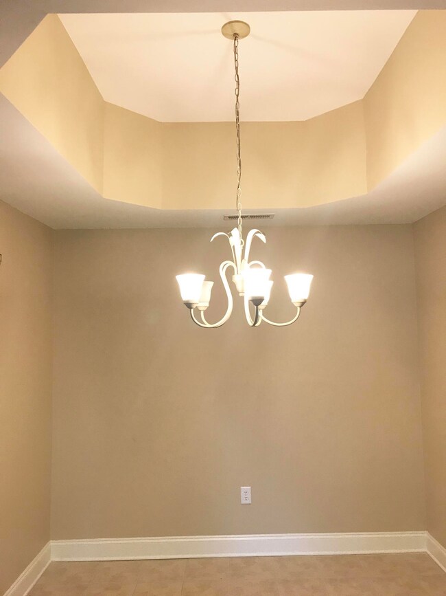 Separate dining with tray ceiling