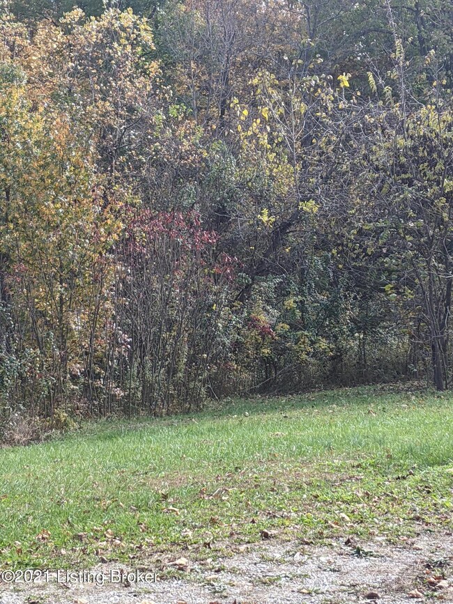 PXL_20211102_180831124