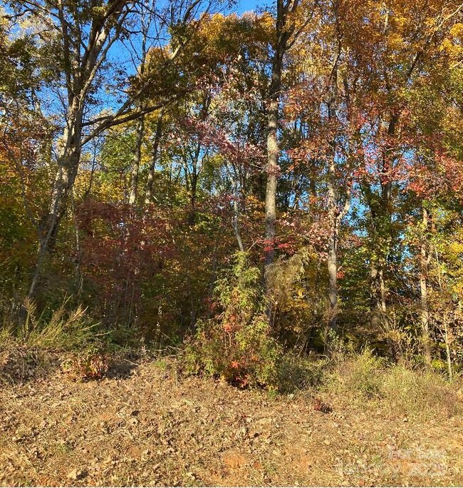 00 Robinson Rd, Salisbury, NC 28144 - photo 5