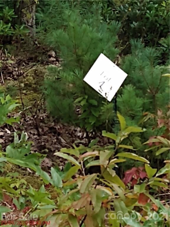 39 Tallwood Rd unit 4, Leicester, NC 28748 - photo 3