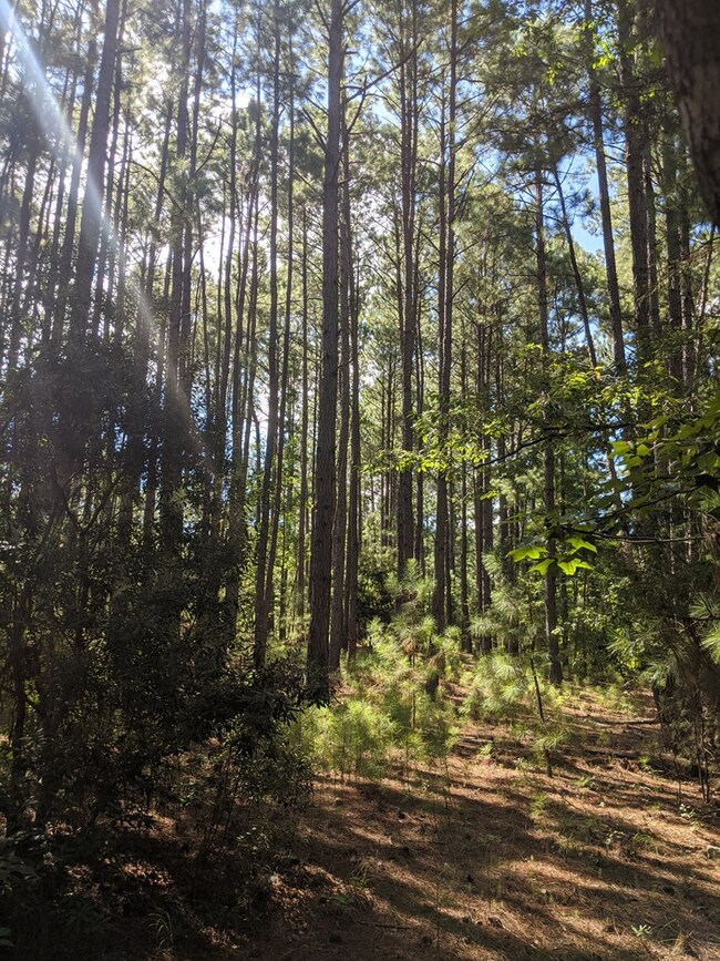 5266 White Oak Rd, Appling, GA 30802 - photo 2