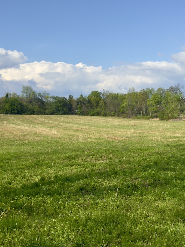 0 Aedc Lakeview Rd, Estill Springs, TN 37330 - photo 3