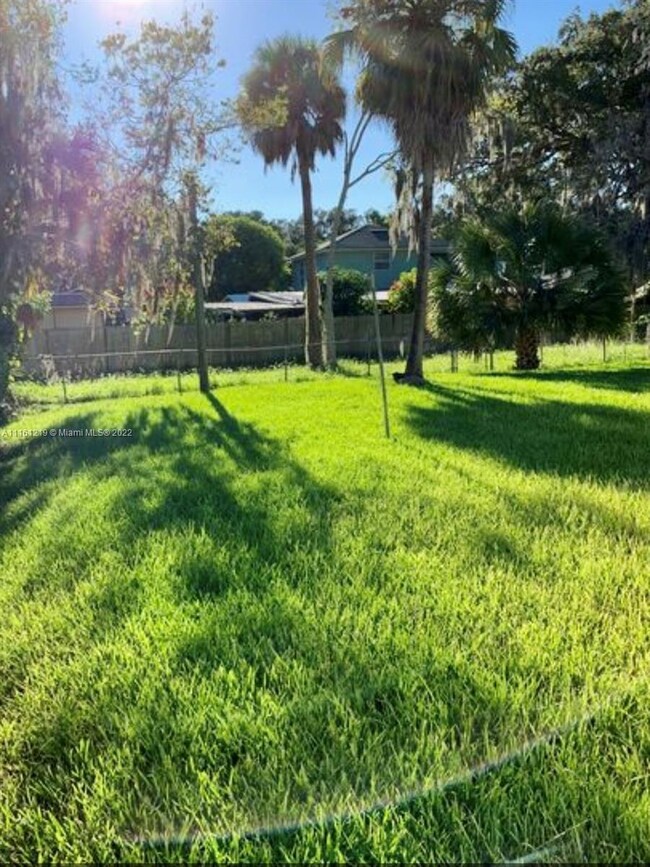 Backyard