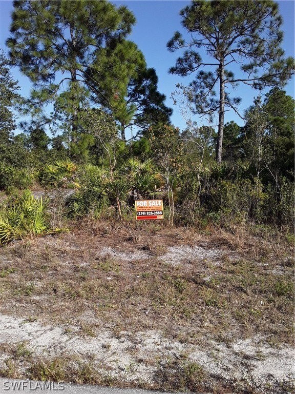 6008 Olive Ave N, Lehigh Acres, FL 33971 - photo 2