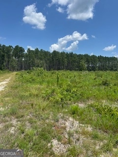 87.21 AC Bay Branch Church Rd, Claxton, GA 30417 - photo 3