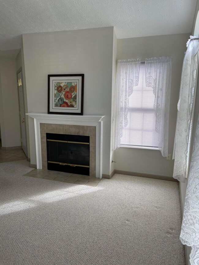 Fireplace 2