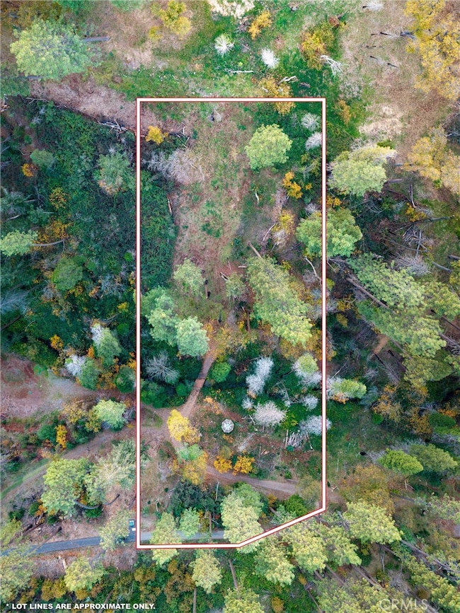 1770 Heynen Rd, Paradise, CA 95969 - photo 3