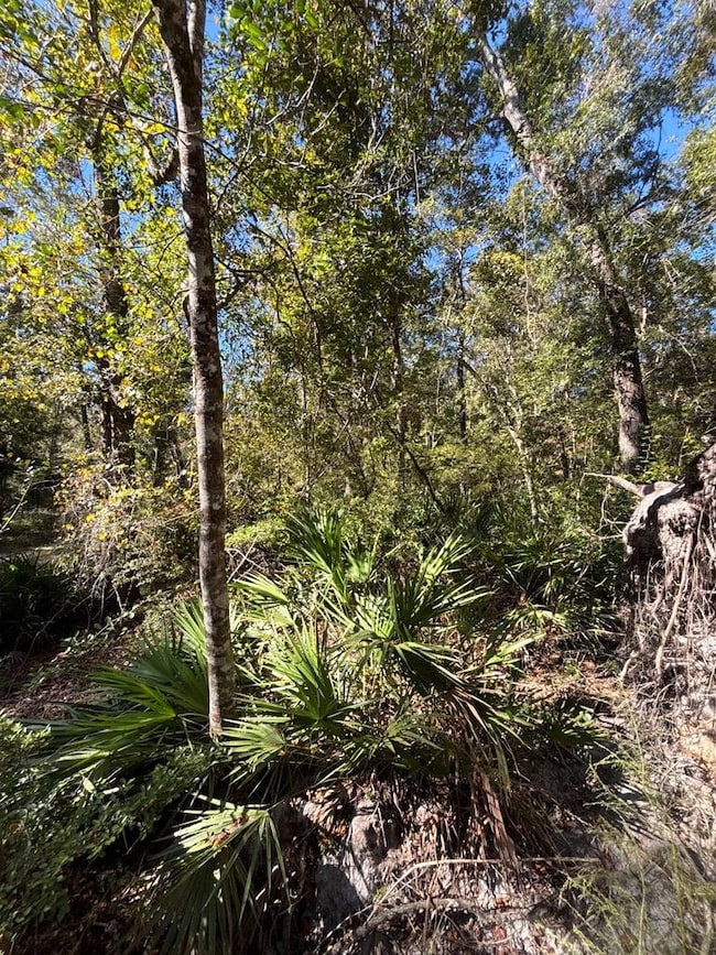 Lot 2 SE 843rd St, Old Town, FL 32680 - photo 7