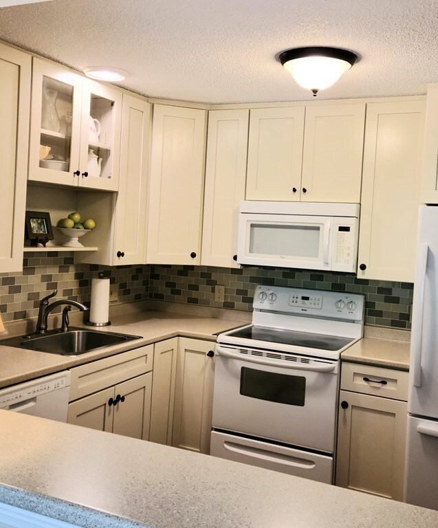 1029 Pleasant St unit 38, Worcester, MA 01602 - photo 5