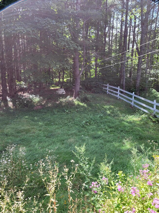 Bond Spring side yard
