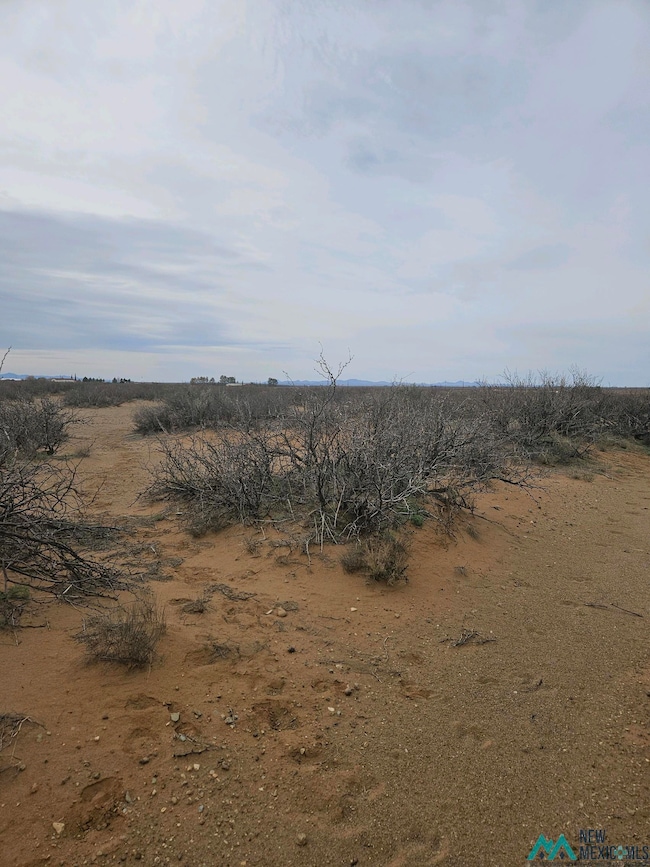 XXX Amarillo Rd SW, Deming, NM 88030 - photo 3