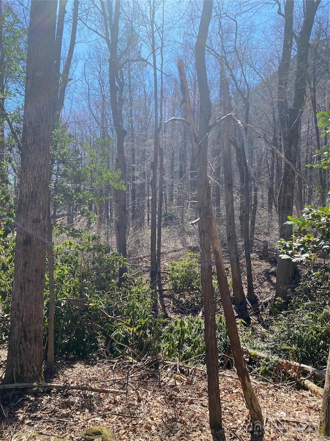 0000 Raleigh Dr unit 8 & 9, Lake Lure, NC 28746 - photo 5