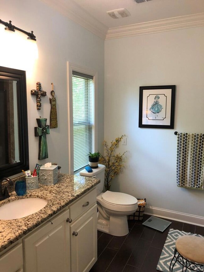 604 Starling Crescent, Oxford, MS 38655 - photo 6